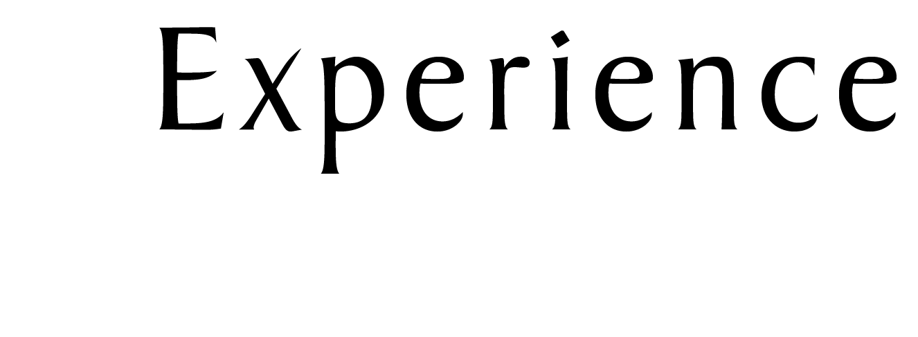 Blyth Valley Experience Logo